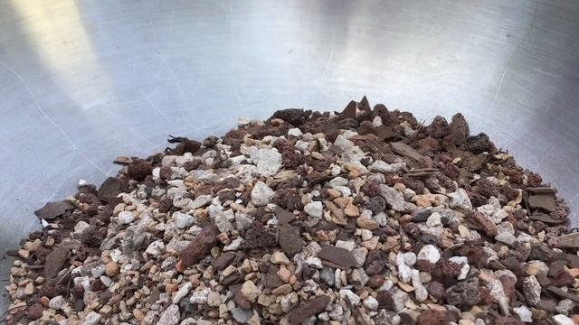 Creating A Snowflake Bonsai Tree (Serissa japonica) | Sequoia Exotics смотреть онлайн