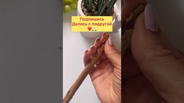 Как отличить настоящую корицу от вредной кассии