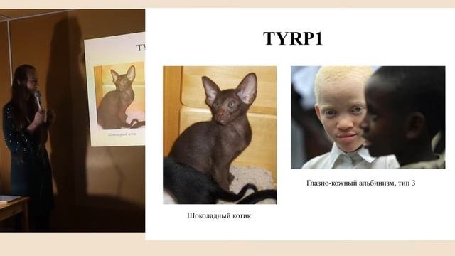 Наука и Котики. Научно-популярная лекция о генетике. Часть 1