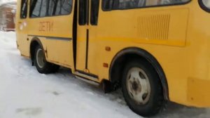 3 Пазика и 1 газель некст Автобусы дети