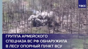 Группа армейского спецназа ВС РФ обнаружила в лесу опорный пункт ВСУ #shorts