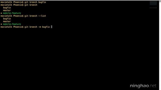 2.分支 | 7.重命名与删除分支 $ rm branch —— 《Git 版本控制》系列课程 смотреть онлайн