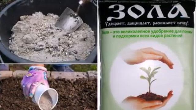 Древесная зола - это ценное удобрение после сжигания дров, веток, травы, но не различных отходов. смотреть онлайн