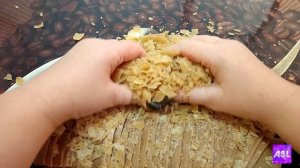 Хруст Хозяйственного мыла 💛 The crunch of Laundry soap 🧡ASMR SOAP VIDEO