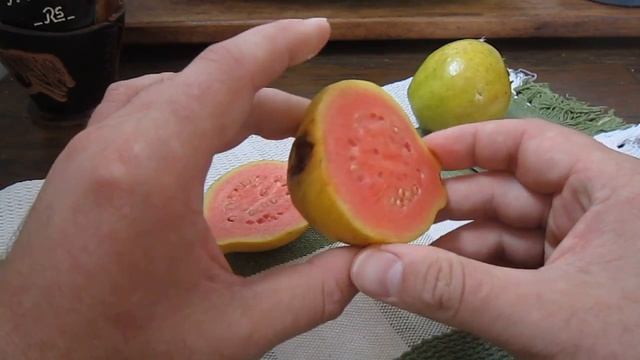 Интересная Бразилия по-назарковски. Гуайява/гуава (goiaba) смотреть онлайн