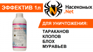 Вывести тараканов профессиональным средством Эффектив