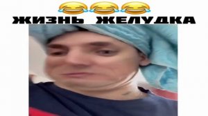 Жизнь желудка.