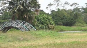 Guyana zoo & botanic gardens