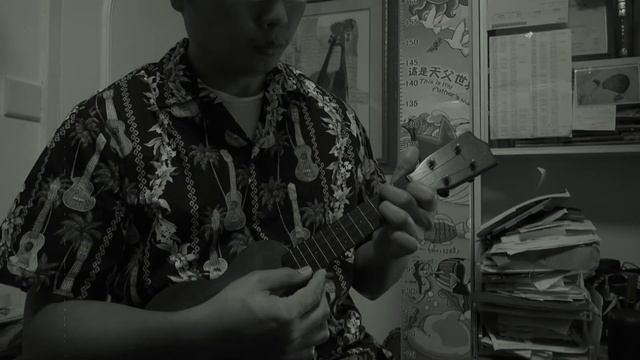 White Sandy Beach Ukulele Solo смотреть онлайн