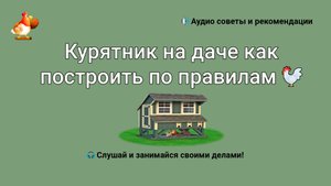 Курятник на даче как построить во всем правилам