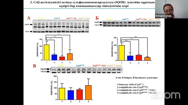 Защита Үсіпбек Б. смотреть онлайн