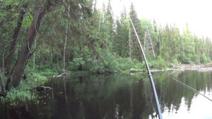 В этом озере просто кишит рыба / Удочка лучшая снасть в мире