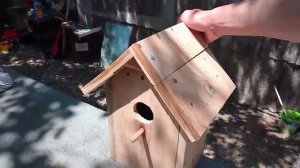 Домики для птиц. Гнездо ласточки.