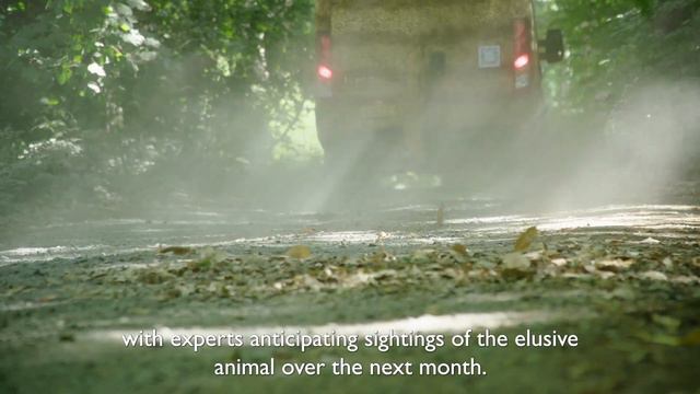 IVECO Daily Chammoth Teaser - agile as a cheetah, as tough as a mammoth смотреть онлайн