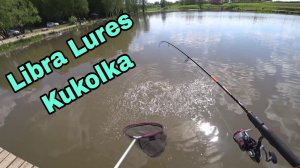 Форель не проходит мимо! Ловля форели на платнике. Libra Lures Kukolka  КРХ Тихая Заводь.
