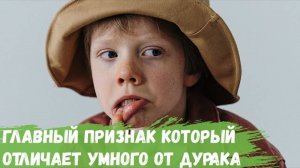 Главный признак, который отличает умного человека от дурака