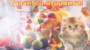 Весёлая песня. Тёща моя.