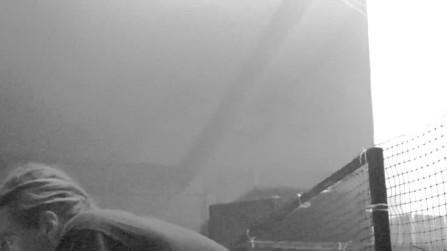 Широколиственный лес смотреть онлайн