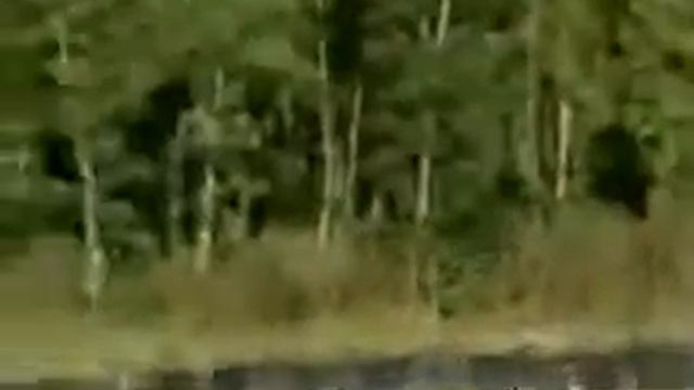 Buggati Veyron Drift
