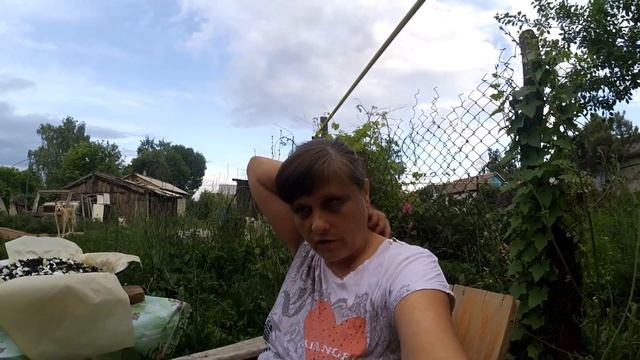 Как сделать жасминовый чай. Федя и Вася подружились. смотреть онлайн