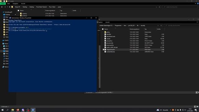 [Outdated] Poro Client Tutorials: Adding the riotgames.pem Certificate to your keystore. смотреть онлайн