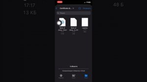 Установил esign без ошибок,рабочий способ установки esign на ios