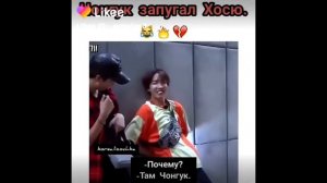 Милые и забавные моменты с бтс