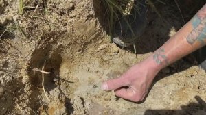 Searching for Megalodon Teeth near Charleston South Carolina