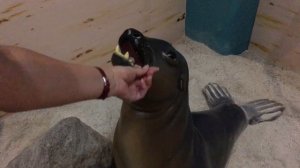 ЭКВАДОР. ГДЕ НАХОДИТСЯ СЕРЕДИНА МИРА???  | Mitad del Mundo