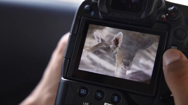 تجربة أسرع كاميرا في العالم | Canon EOS R3 Review with SAMPLES! смотреть онлайн