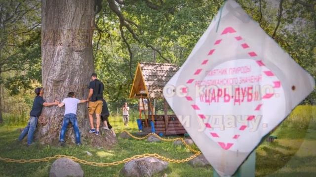 Талисманы из Дуба/Дуб как материал для Талисманов и Оберегов