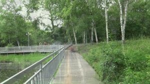 Летний Партизанск, июль 2023 г.