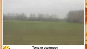 А. Плещеев. Осень наступила ...