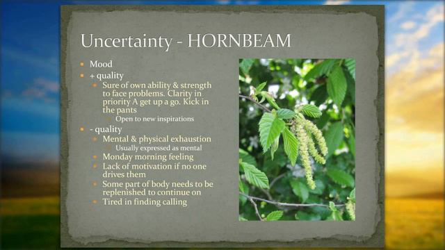 Bach Flower Essences 2 UNCERTAINTY  - Quantum Bach Flower Essences смотреть онлайн