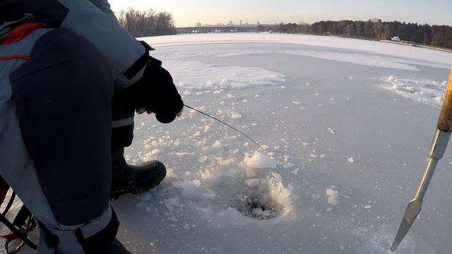 А теперь горбатый выходи