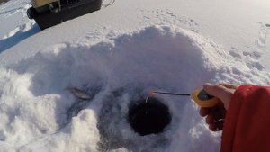 Поставил ШАРАГУ  и понеслось! В поисках окуня! Первый лёд 2019!