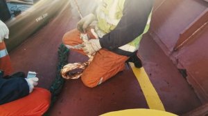 Изготовление СПЛЕСНИ