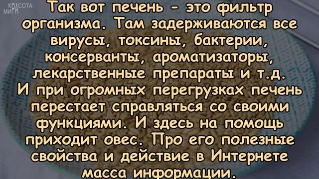 КАК ПОЧИСТИТЬ ПЕЧЕНЬ ОВСОМ?