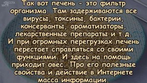 КАК ПОЧИСТИТЬ ПЕЧЕНЬ ОВСОМ?