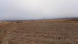 Село Наскент