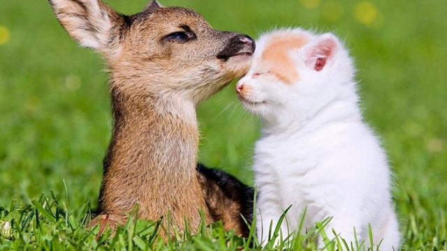 20.04.2020., Тема: "Дружба" смотреть онлайн