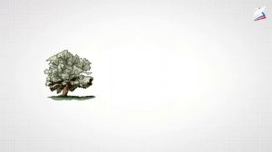 Мир животных. Проектное задание «Разнообразие природы родного края»