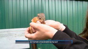 (Рыбинск-40) ИСТОРИЯ СПАСЕНИЯ БЕЛЬЧАТ