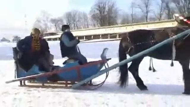 Прогулка на санях в упряжке в Волгограде