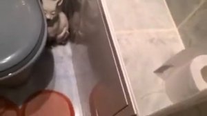 Красивый потолок в туалете и ванной