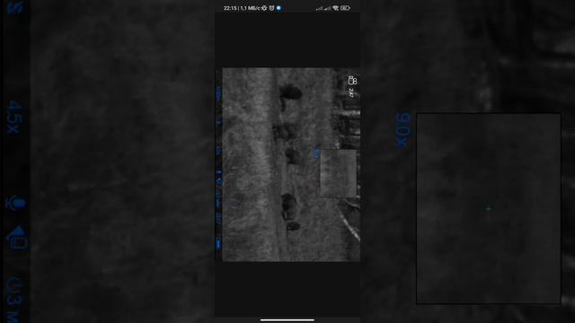 13 октября 2022 г. смотреть онлайн