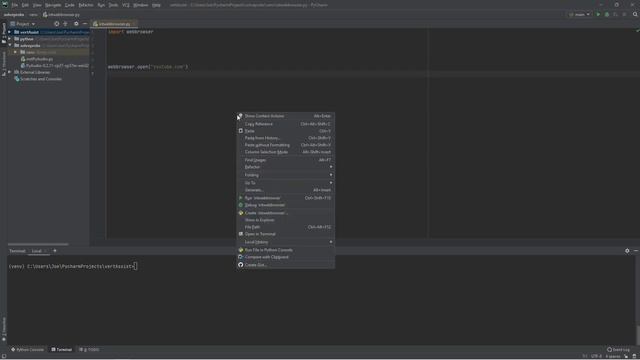 Python webbrowser Module | Opens Link in Chrome