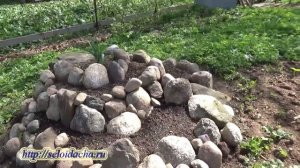 Как сделать клумбу из камней своими руками во дворе или на даче. Клумба из камней на пне