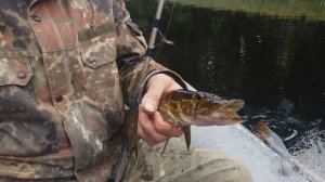 Ловись рыбка, мала и велика! ©20230913