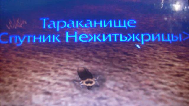 спутники из World of Warcraft. смотреть онлайн
